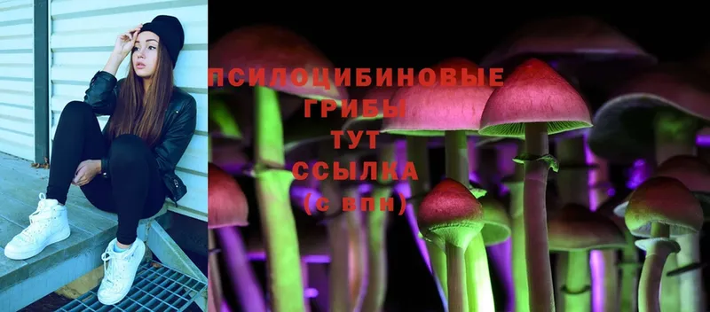 MEGA как войти  Высоковск  Галлюциногенные грибы Magic Shrooms 